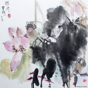 Pink lotus - Vaaleanpunainen lootus - 粉莲