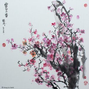 Cherry blossom - Kirsikankukka - 櫻花