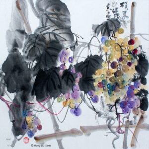 Vineyard - Viinitarha - 葡萄園